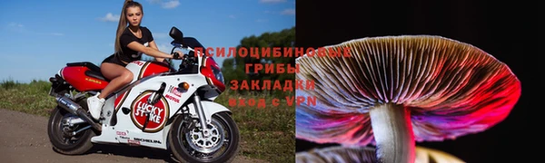 гашишное масло Снежногорск