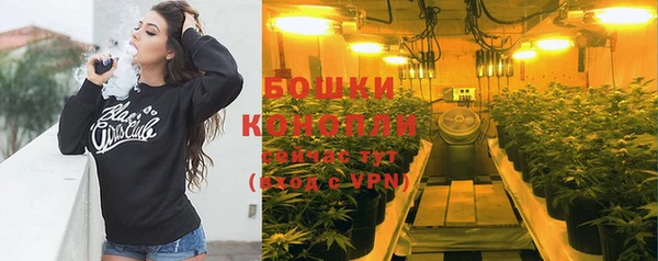 бошки Слюдянка